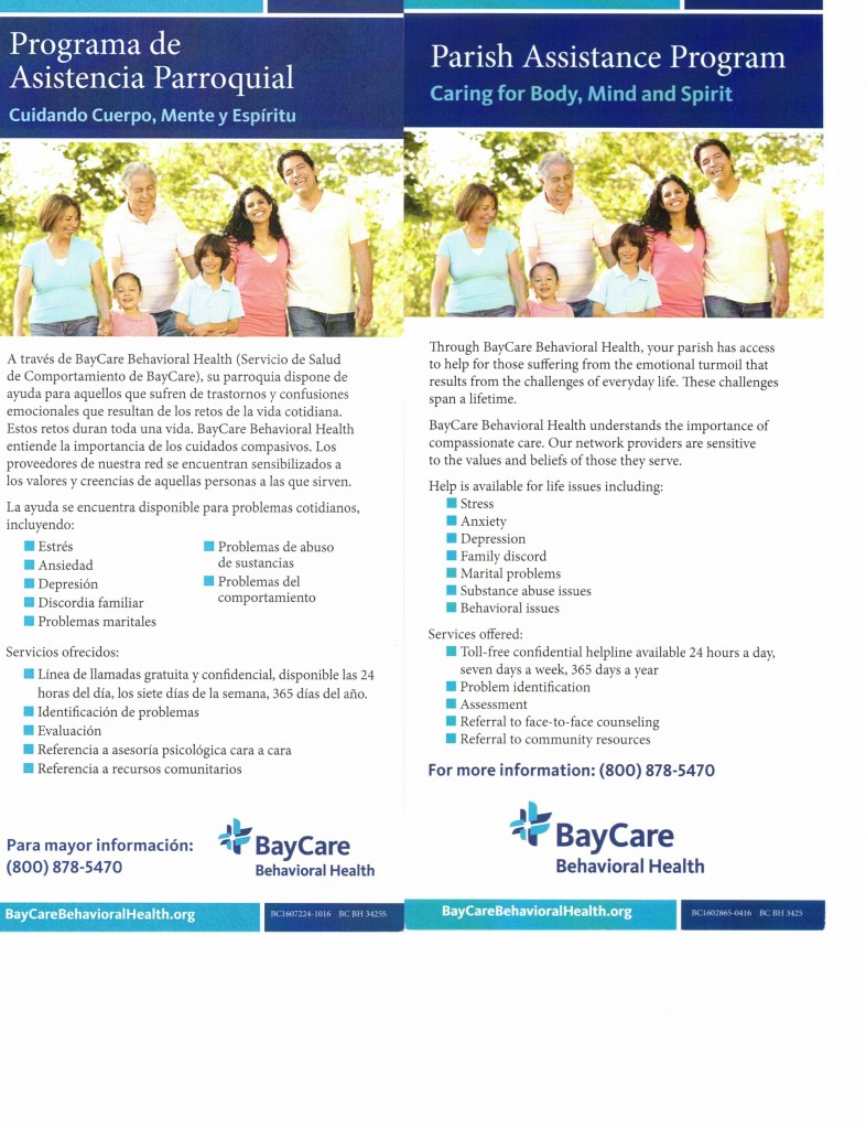 BayCare Poster_000009